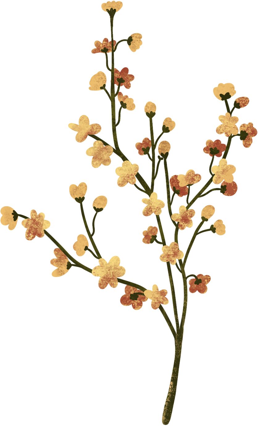Modern branch illustration with flowers