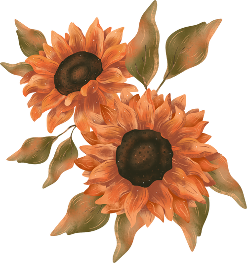 Sunflower Arrangement Illustration